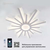 autoOBR_124
