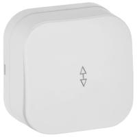 Глори белый переключатель 1кл открытая 10А IP20 